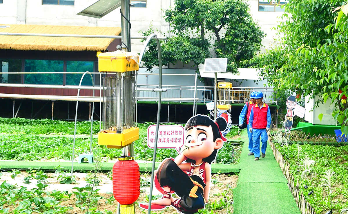 村里软儿梨甜开元棋牌桥头(图5) 村里软儿梨甜开元棋牌桥头(图5)