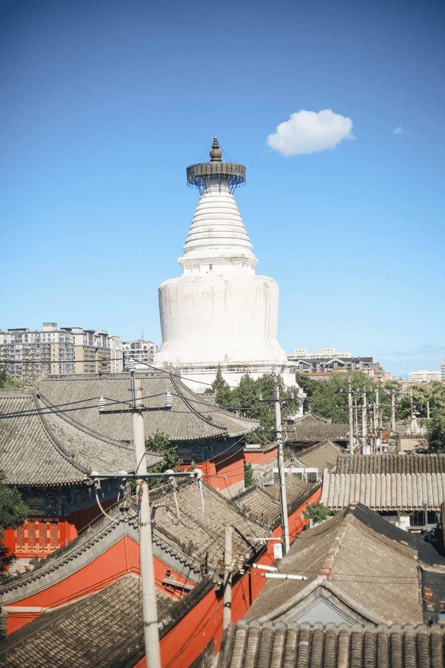 私人订制旅行社看这五家专带小众不踩坑开元棋牌试玩避雷指南！北