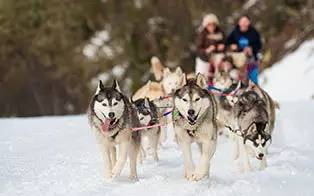 光你想都没想过的夏天!开元棋牌网站滑雪看极(图4) 光你想都没想过的夏天!开元棋牌网站滑雪看极(图4)