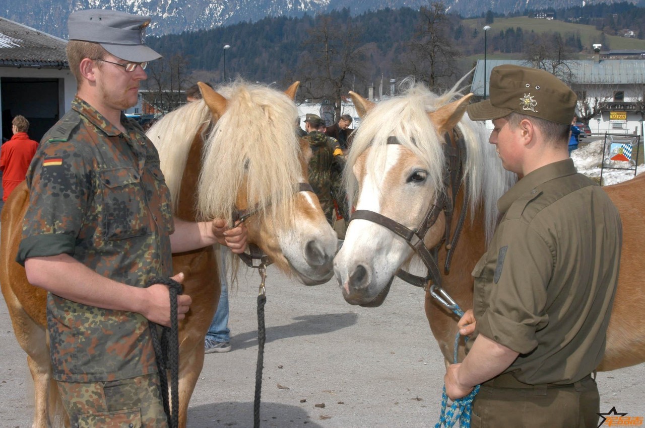 斯山欧洲假日幻想曲开元棋牌网站阿尔卑
