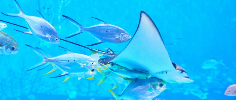 庆重庆亲子游好去处推荐开元棋牌试玩202